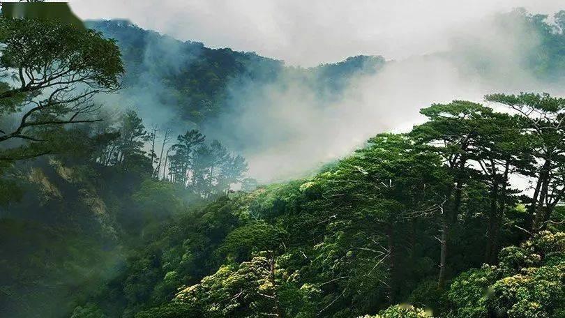 逗小猴开心系列171