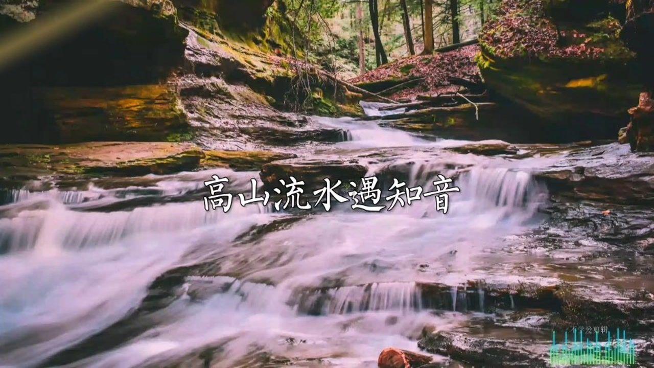 虎胆熊威2中文版