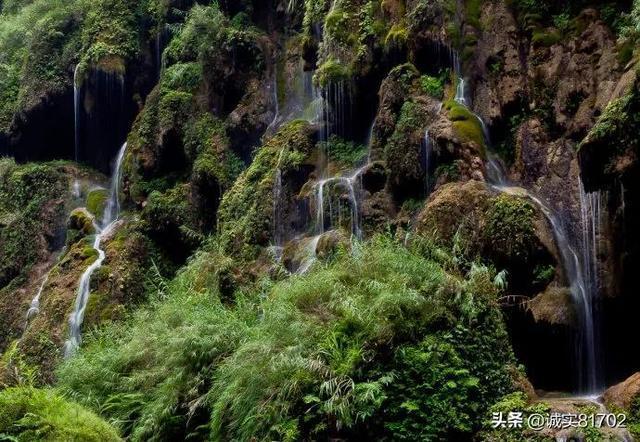 省人大代表李招红:持续推进诗路文化带建设,打造浙江文旅金名片